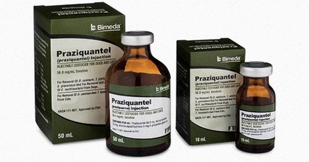 Praziquantel generique